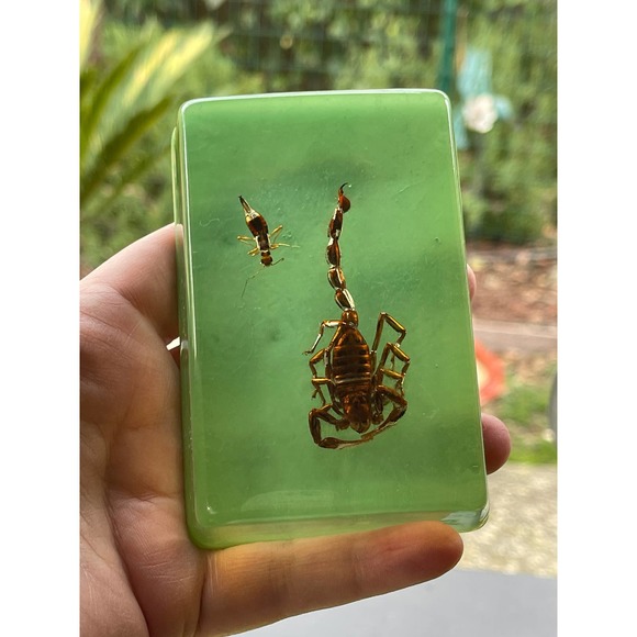 Vintage Art Lucite Scorpion Real Insect Paperweight Oddities